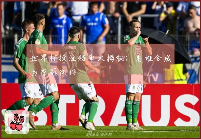 世界杯投注赔率大揭秘：看谁会成为夺冠热门