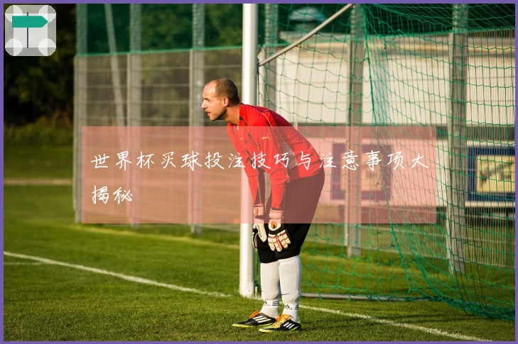 世界杯买球投注技巧与注意事项大揭秘