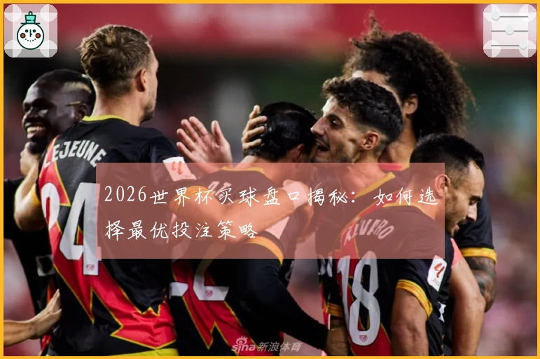 2026世界杯买球盘口揭秘：如何选择最优投注策略