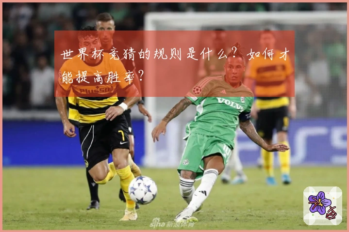 世界杯竞猜的规则是什么？如何才能提高胜率？
