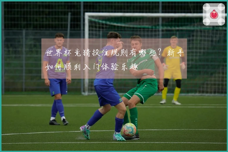 世界杯竞猜投注规则有哪些？新手如何顺利入门体验乐趣