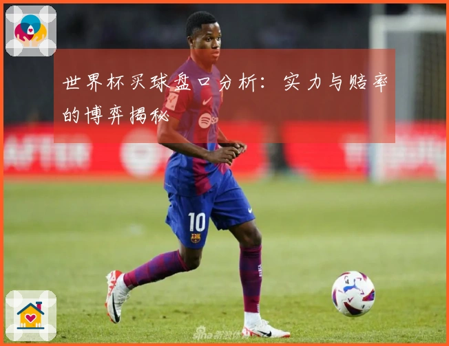 世界杯买球盘口分析：实力与赔率的博弈揭秘