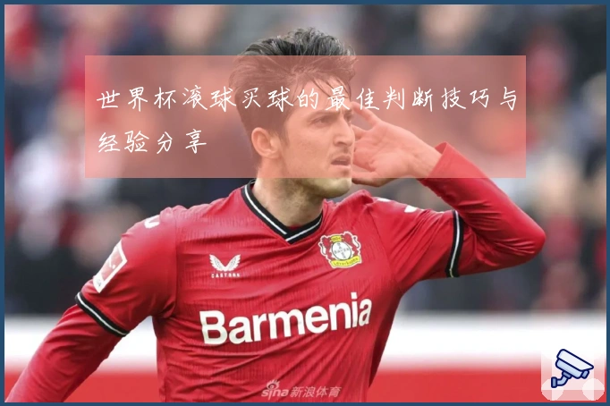 世界杯滚球买球的最佳判断技巧与经验分享