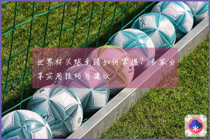 世界杯买球竞猜如何掌握？专家分享实用技巧与建议