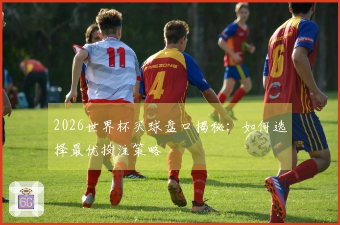 2026世界杯买球盘口揭秘：如何选择最优投注策略