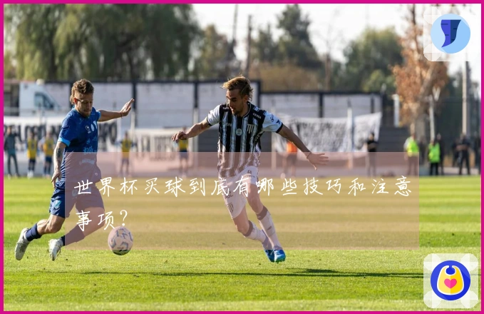 世界杯买球到底有哪些技巧和注意事项？