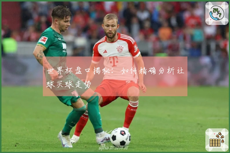 世界杯盘口揭秘：如何精确分析让球买球走势