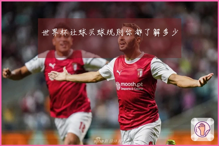世界杯让球买球规则你都了解多少