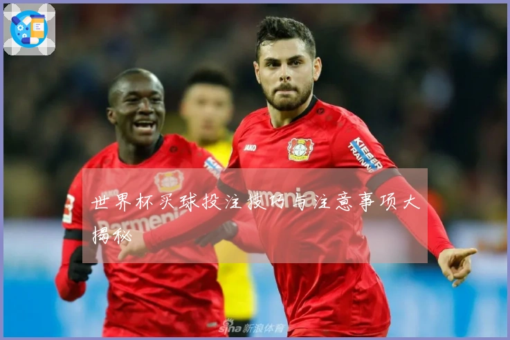 世界杯买球投注技巧与注意事项大揭秘
