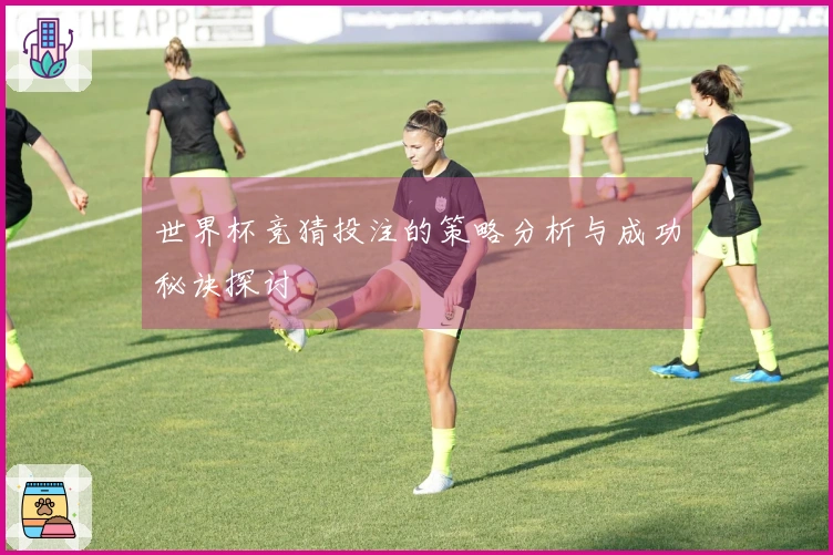 世界杯竞猜投注的策略分析与成功秘诀探讨
